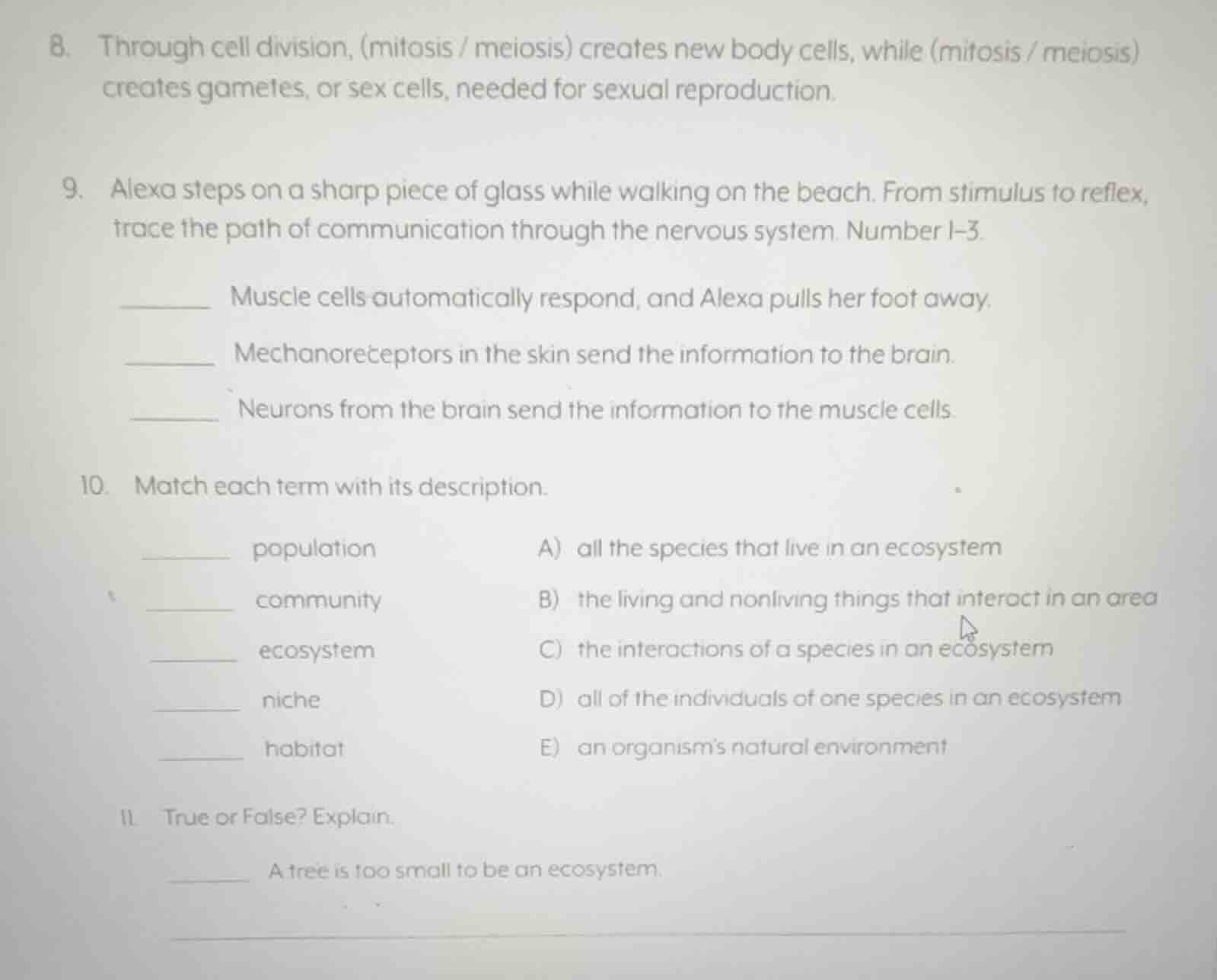 8. through cell division, (mitosis / meiosis) creates new body cells, w…
