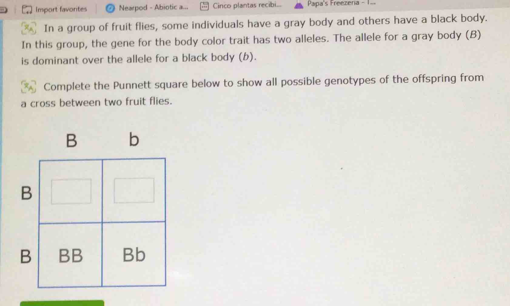 in a group of fruit flies, some individuals have a gray body and others…