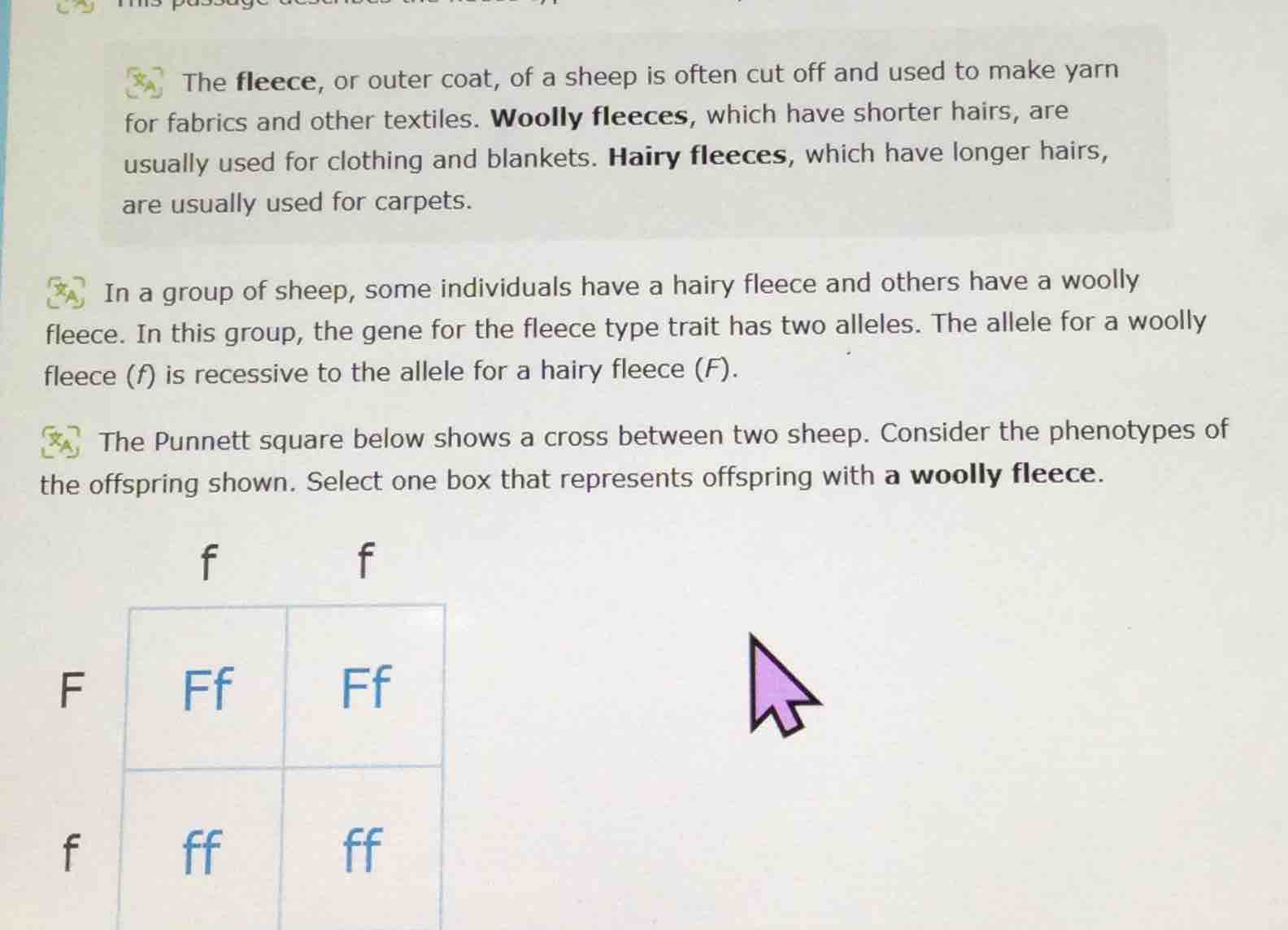 the fleece, or outer coat, of a sheep is often cut off and used to make…