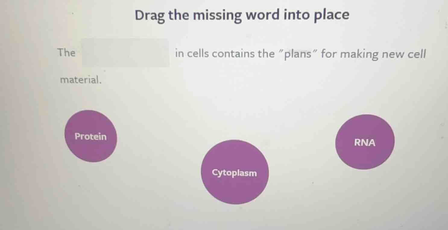 drag the missing word into place the in cells contains the \plans\ for …