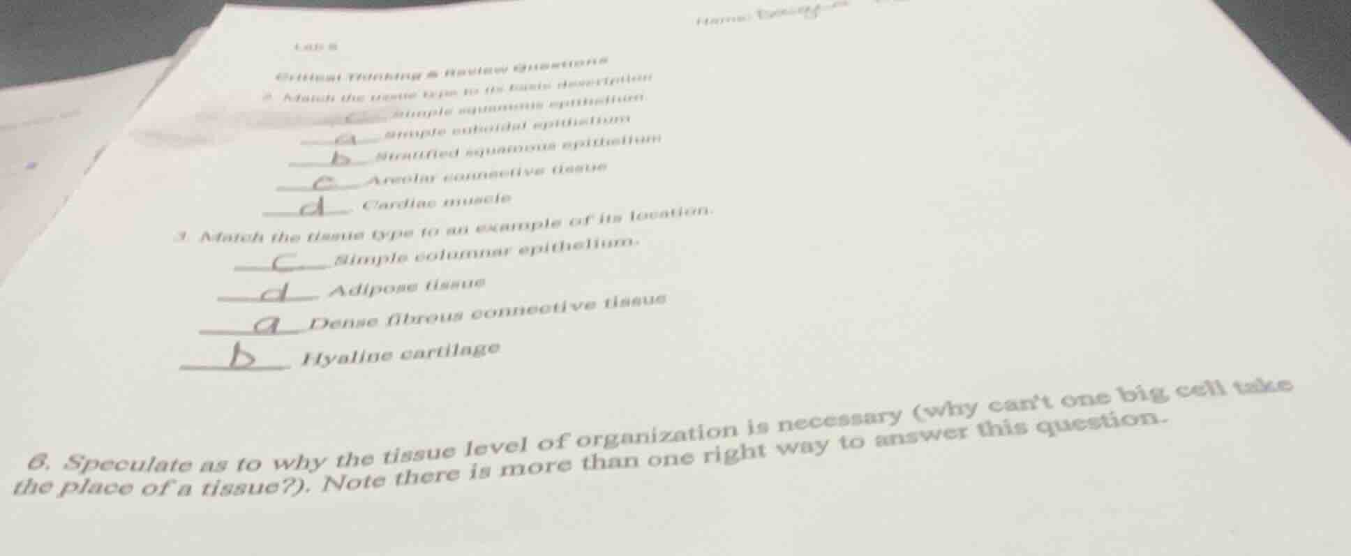 lab 6 critical thinking & review questions 2 match the tissue type to i…