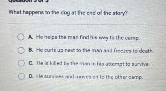what happens to the dog at the end of the story? a. he helps the man fi…