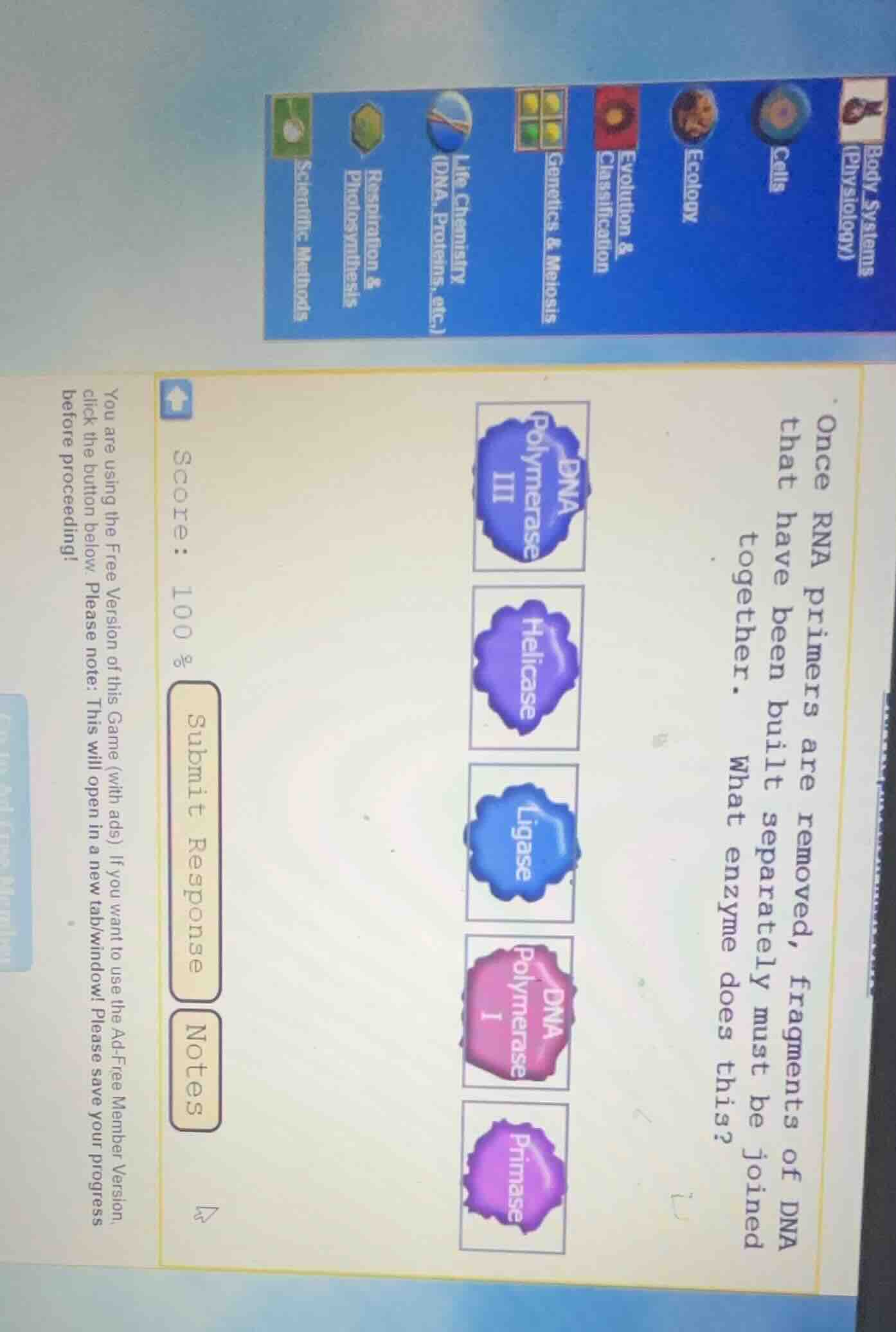 once rna primers are removed, fragments of dna that have been built sep…