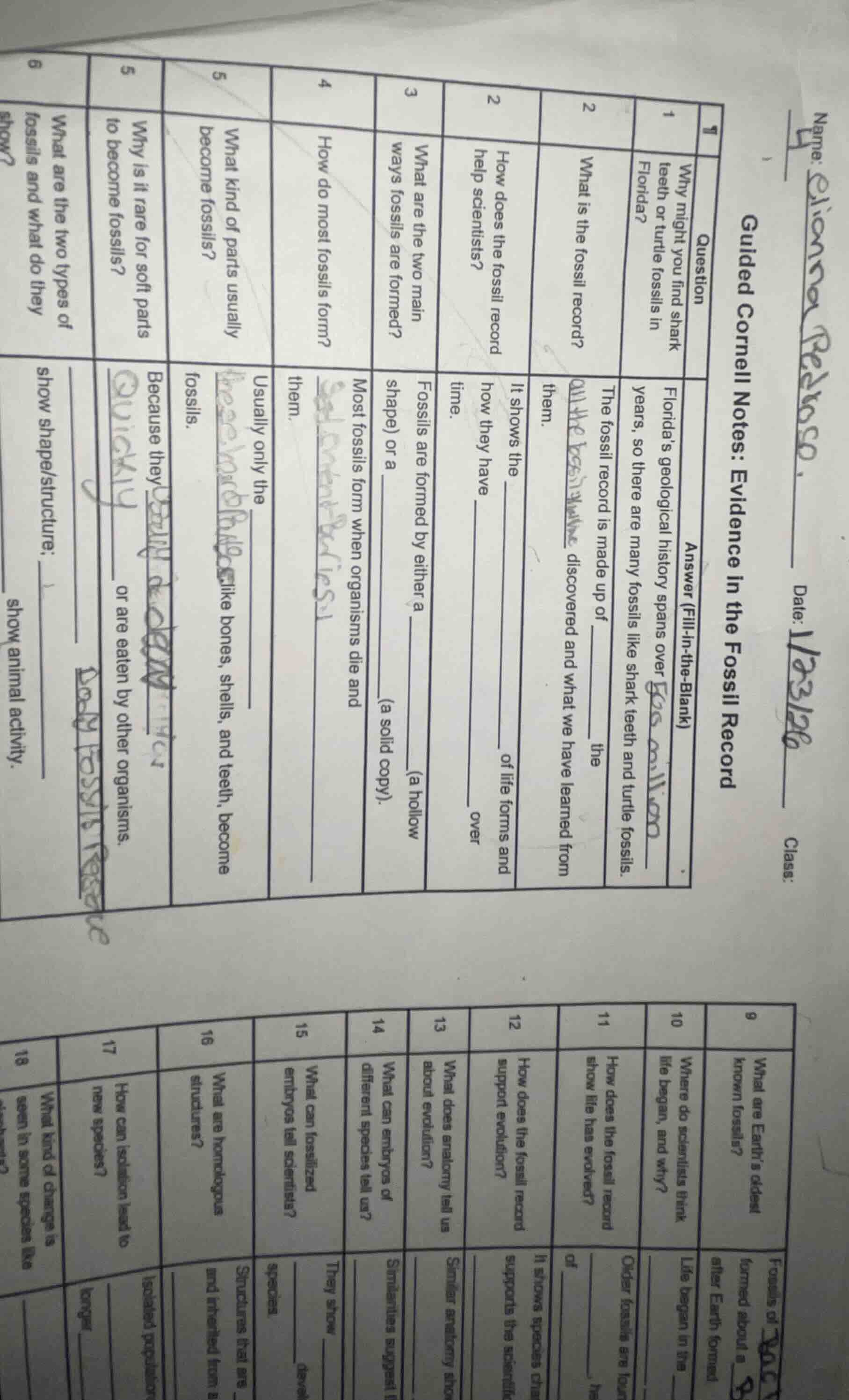 guided cornell notes: evidence in the fossil record question answer (fi…