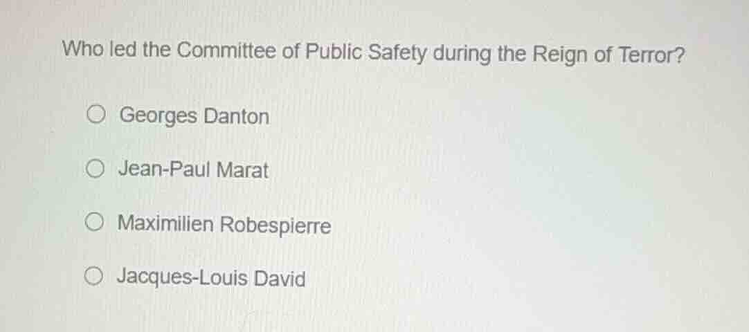 who led the committee of public safety during the reign of terror? geor…