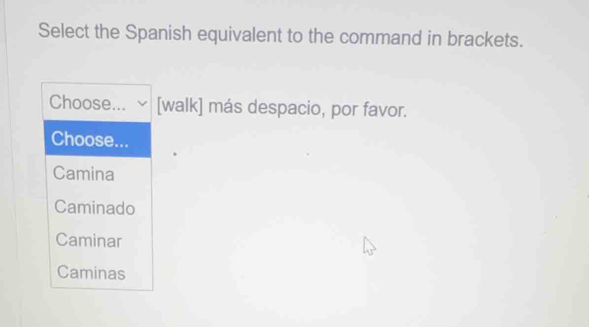 select the spanish equivalent to the command in brackets. walk más desp…