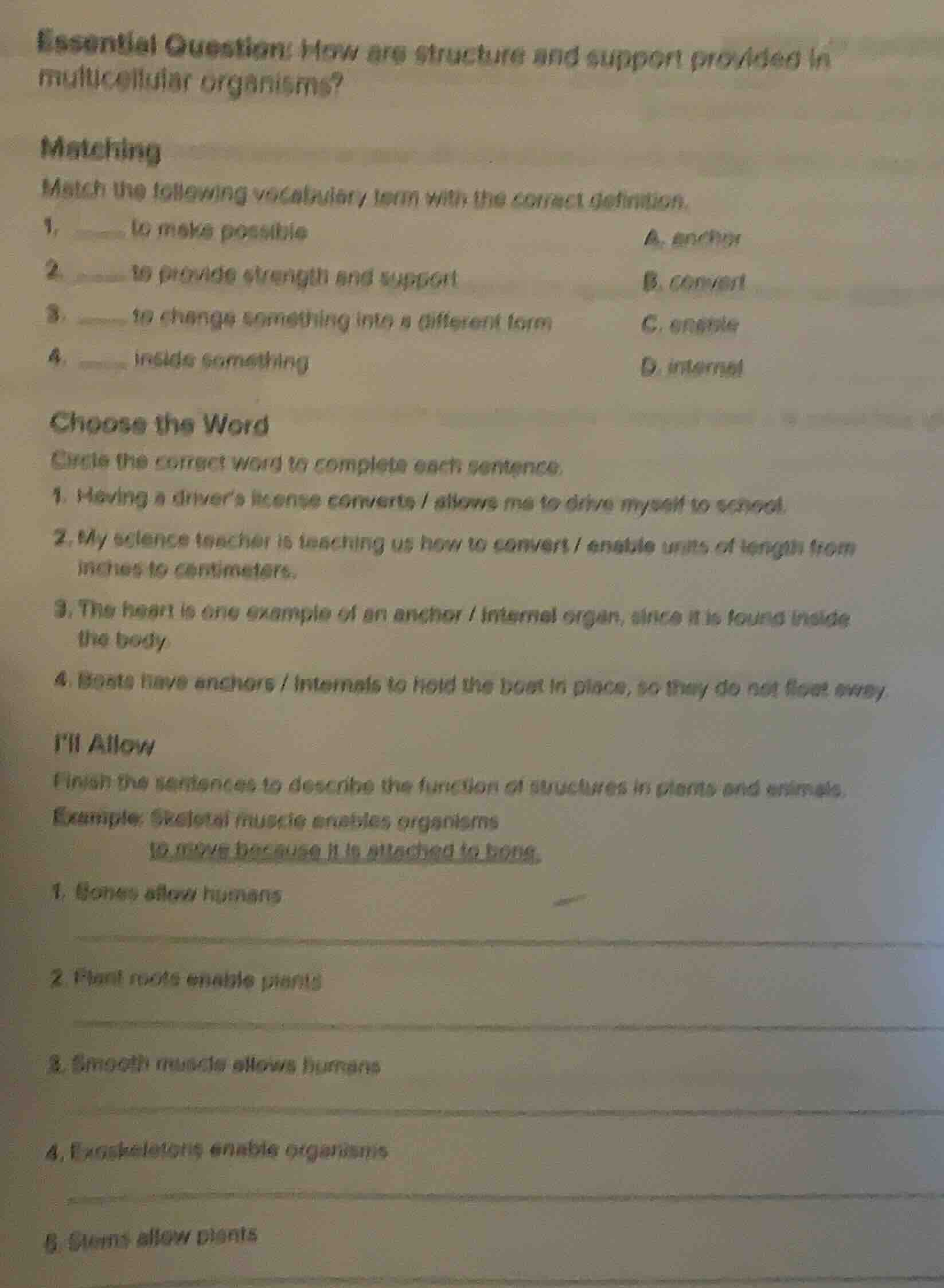 essential question: how are structure and support provided in multicell…
