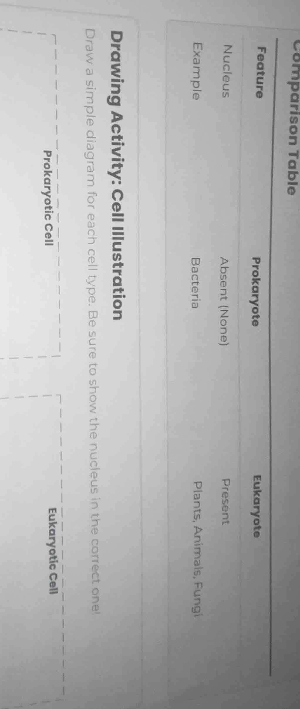 comparison table feature\t\tprokaryote\teukaryote nucleus\tabsent (none…