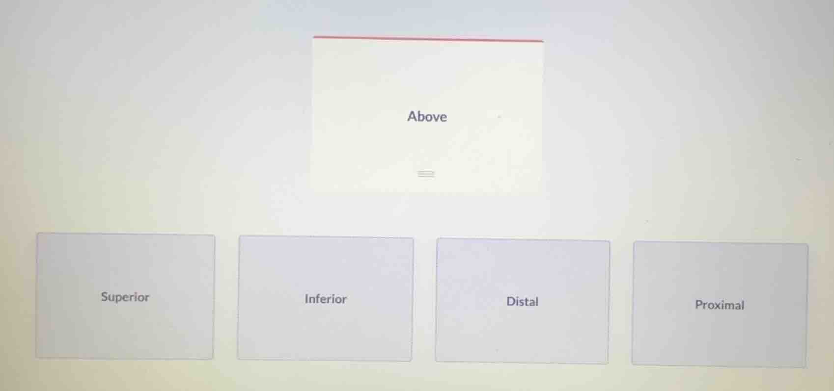 above superior inferior distal proximal