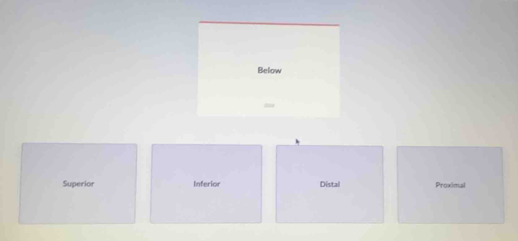 below superior inferior distal proximal