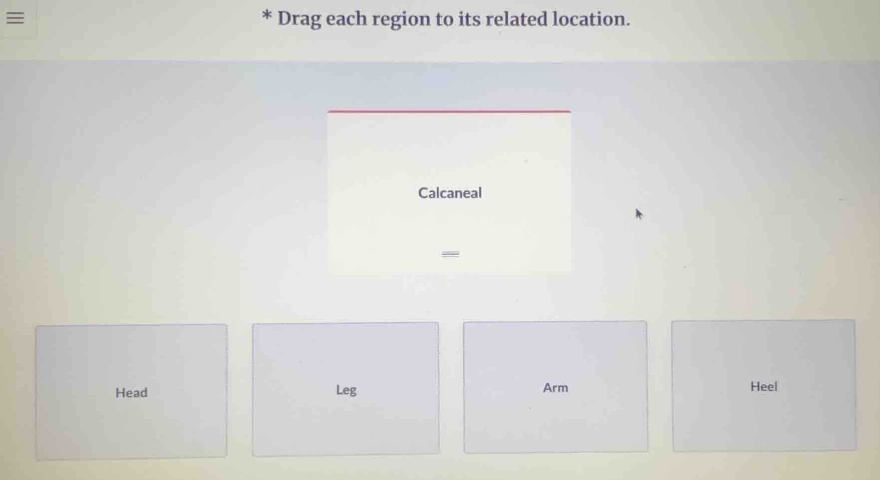 * drag each region to its related location. calcaneal head leg arm heel
