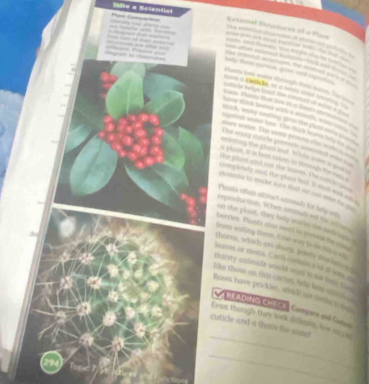 be a scientist plant comparison identify two plants you are familiar wi…