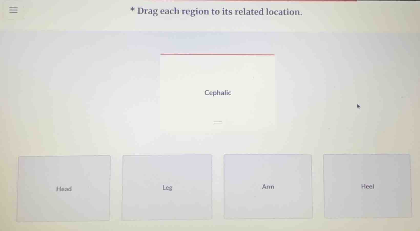 * drag each region to its related location. cephalic head leg arm heel
