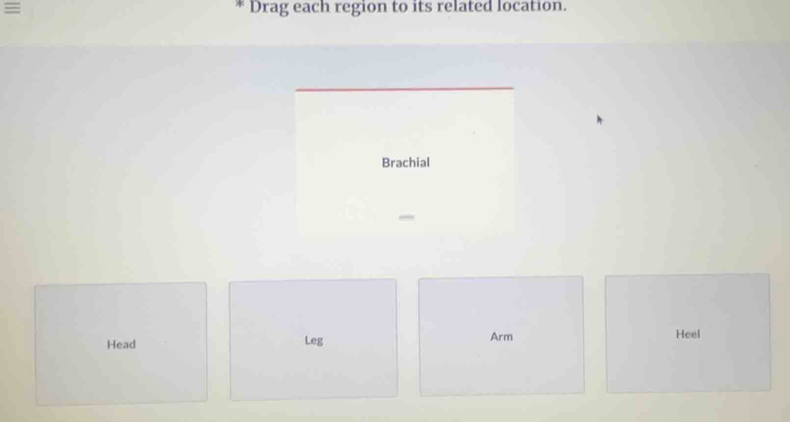 * drag each region to its related location. brachial head leg arm heel