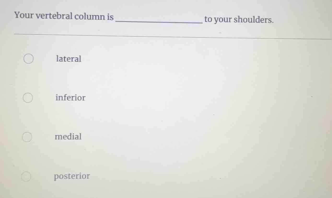 your vertebral column is ______ to your shoulders. lateral inferior med…
