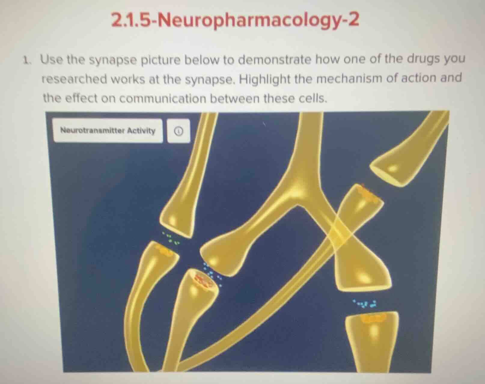 2.1.5 - neuropharmacology - 2 1. use the synapse picture below to demon…