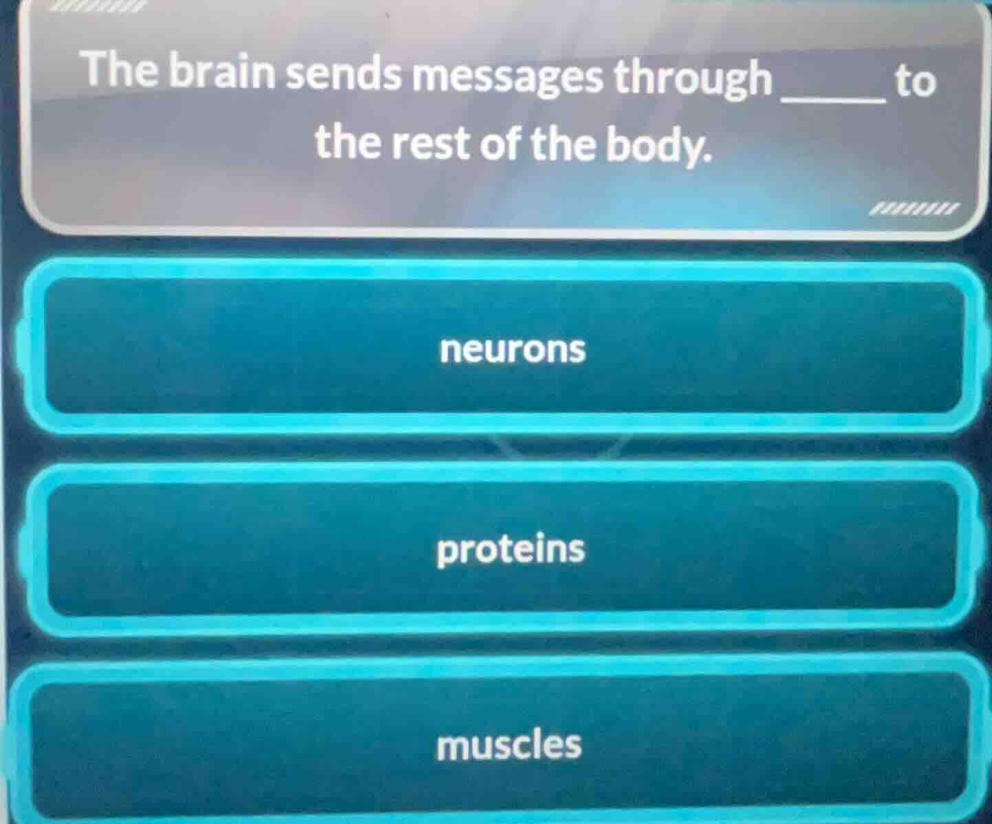 the brain sends messages through ______ to the rest of the body. neuron…