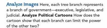 analyze images here, each tree branch represents a branch of government…