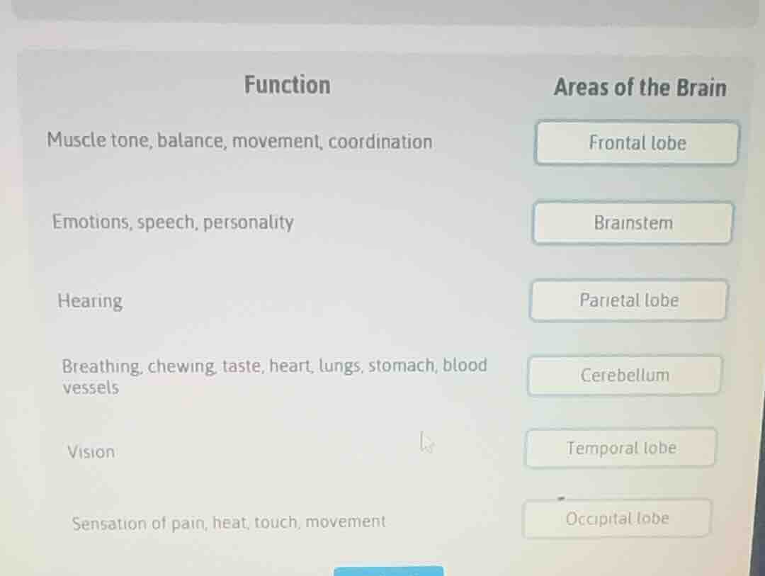 function areas of the brain muscle tone, balance, movement, coordinatio…