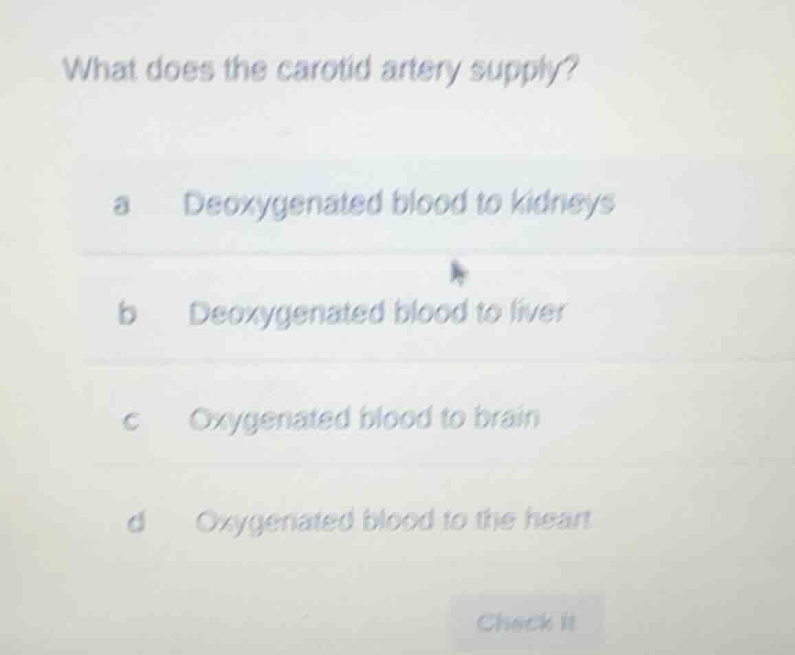 what does the carotid artery supply? a deoxygenated blood to kidneys b …