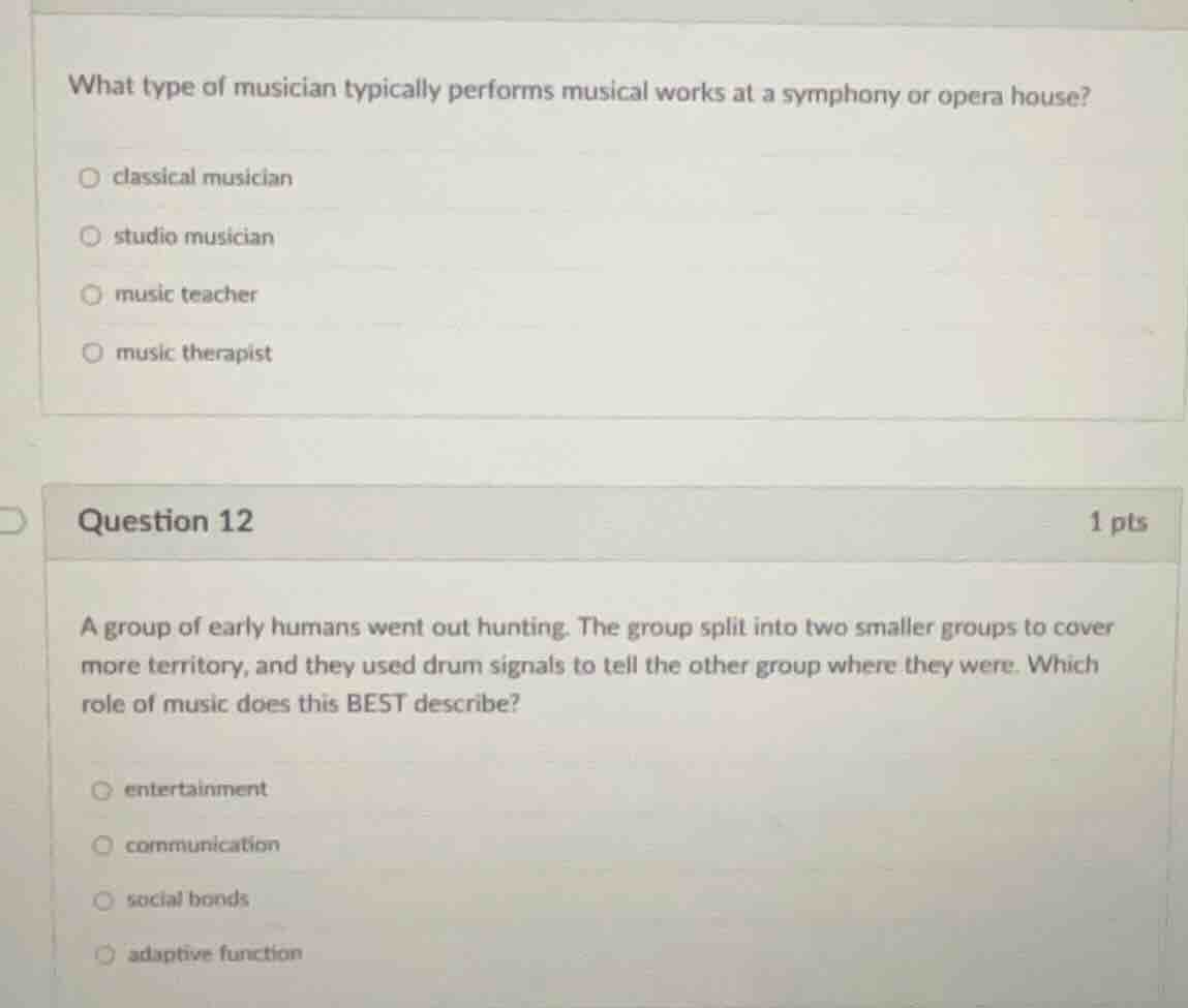 what type of musician typically performs musical works at a symphony or…