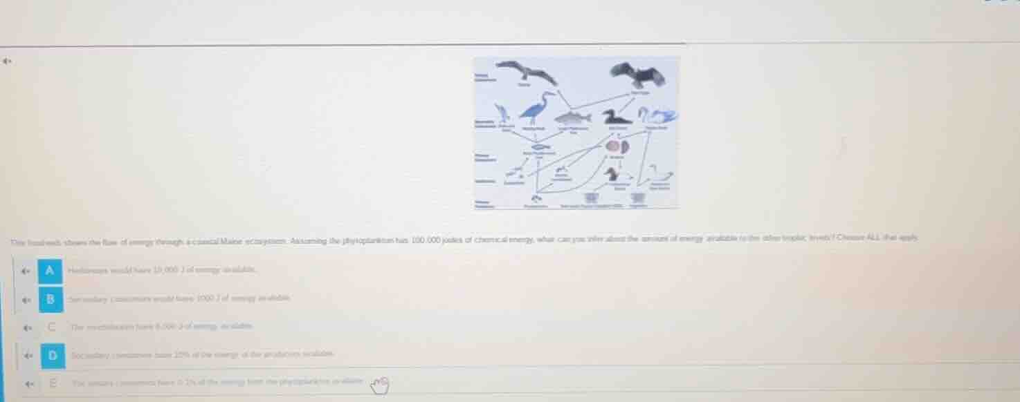 the foodweb shows the flow of energy through a coastal marine ecosystem…
