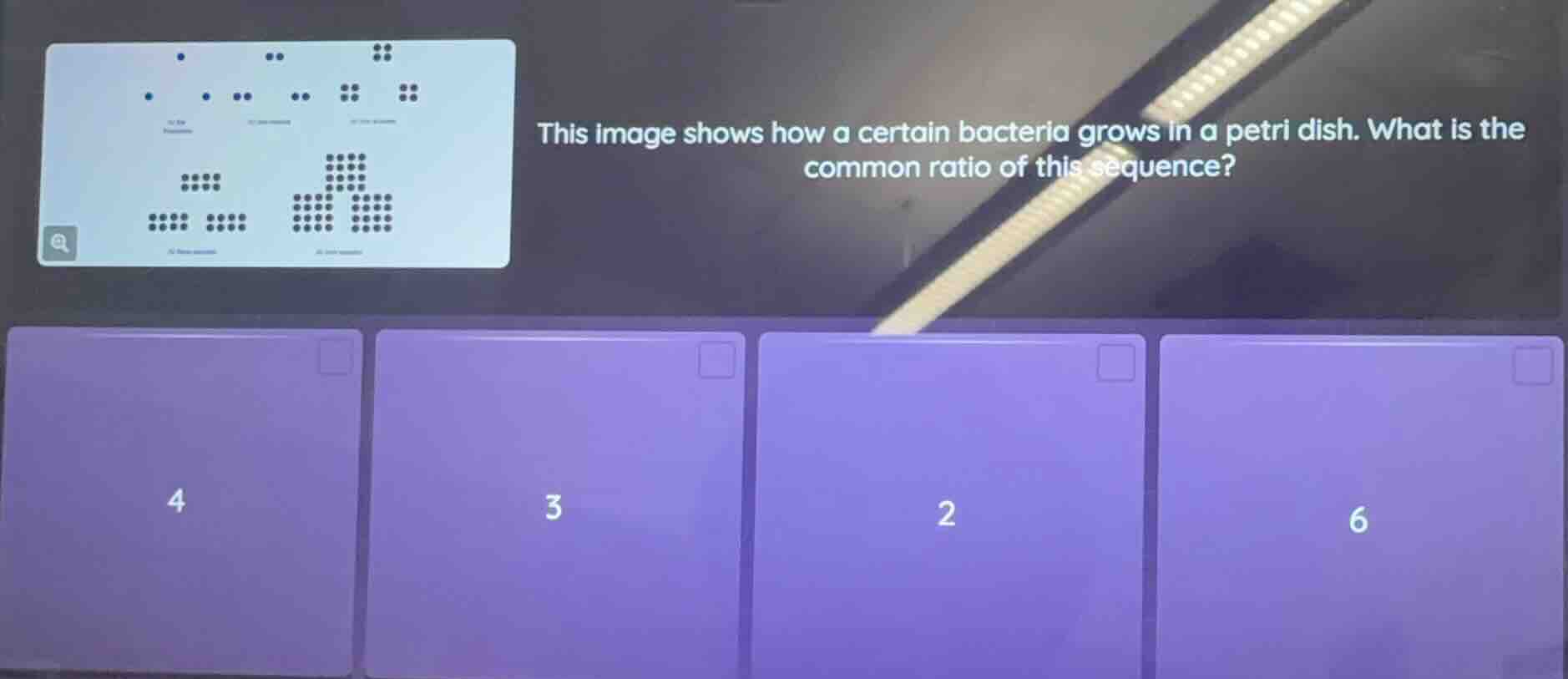this image shows how a certain bacteria grows in a petri dish. what is …