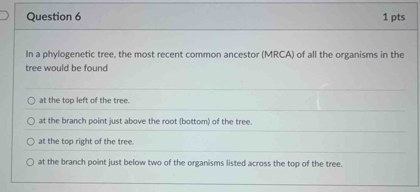 question 6 1 pts in a phylogenetic tree, the most recent common ancesto…