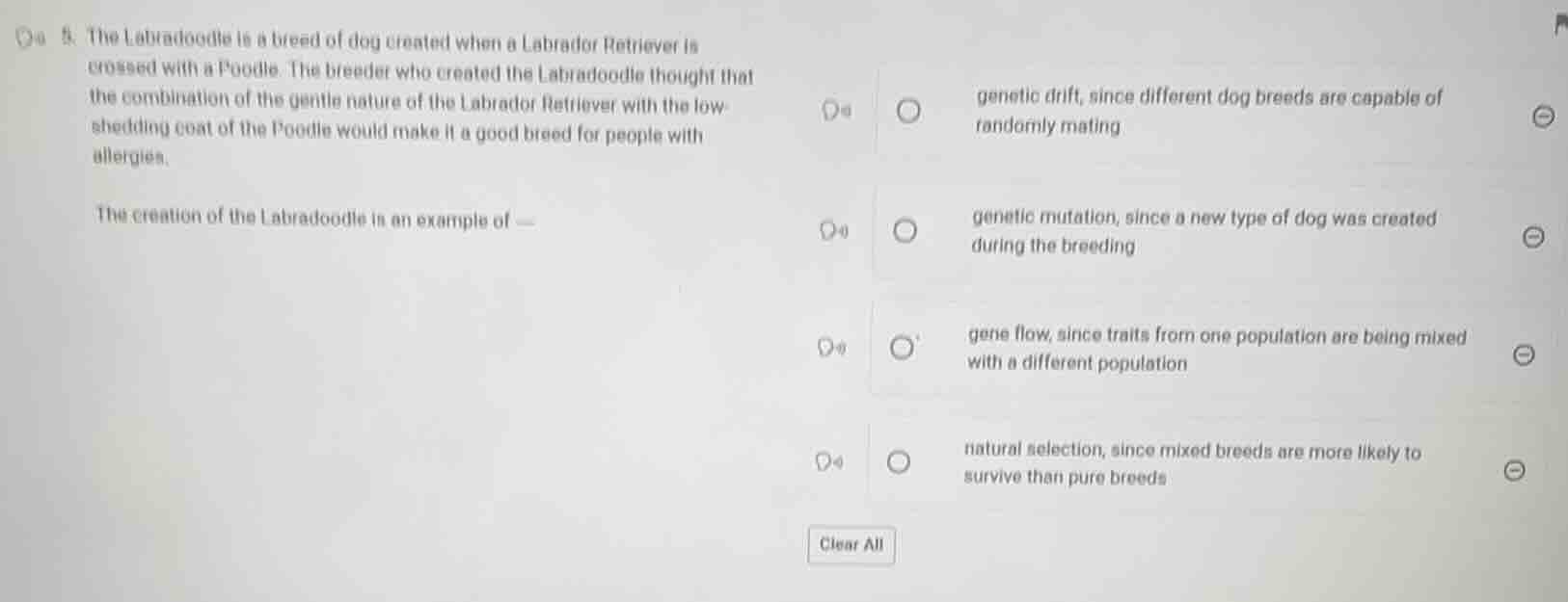 5. the labradoodle is a breed of dog created when a labrador retriever …