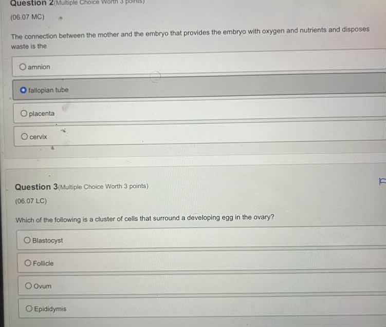 question 2 (multiple choice worth 3 points) (06.07 mc) the connection b…