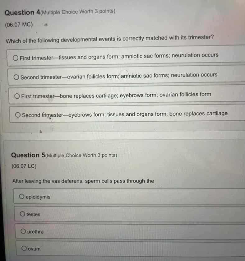 question 4 (multiple choice worth 3 points) (06.07 mc) which of the fol…