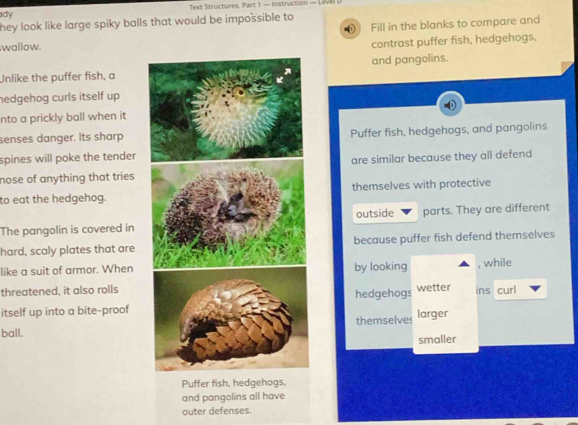 text structures, part 1 — instruction — level d day they look like larg…