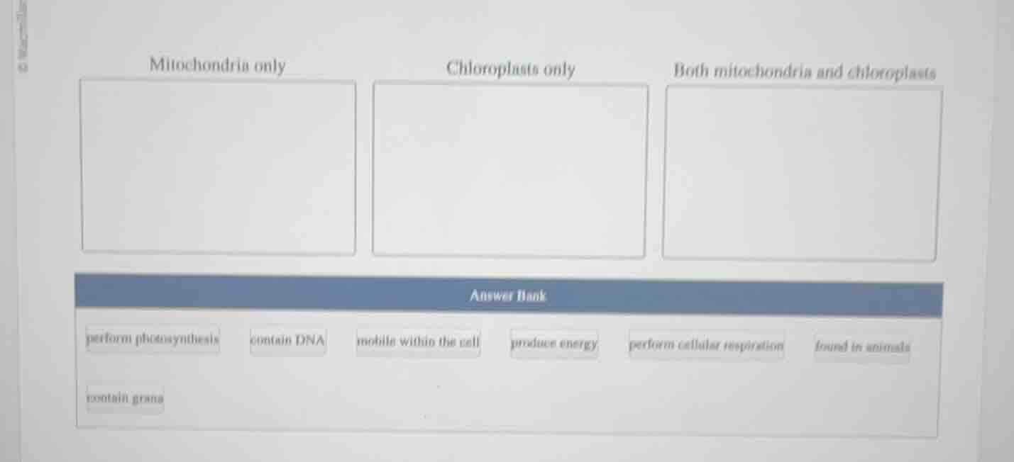 mitochondria only chloroplasts only both mitochondria and chloroplasts …