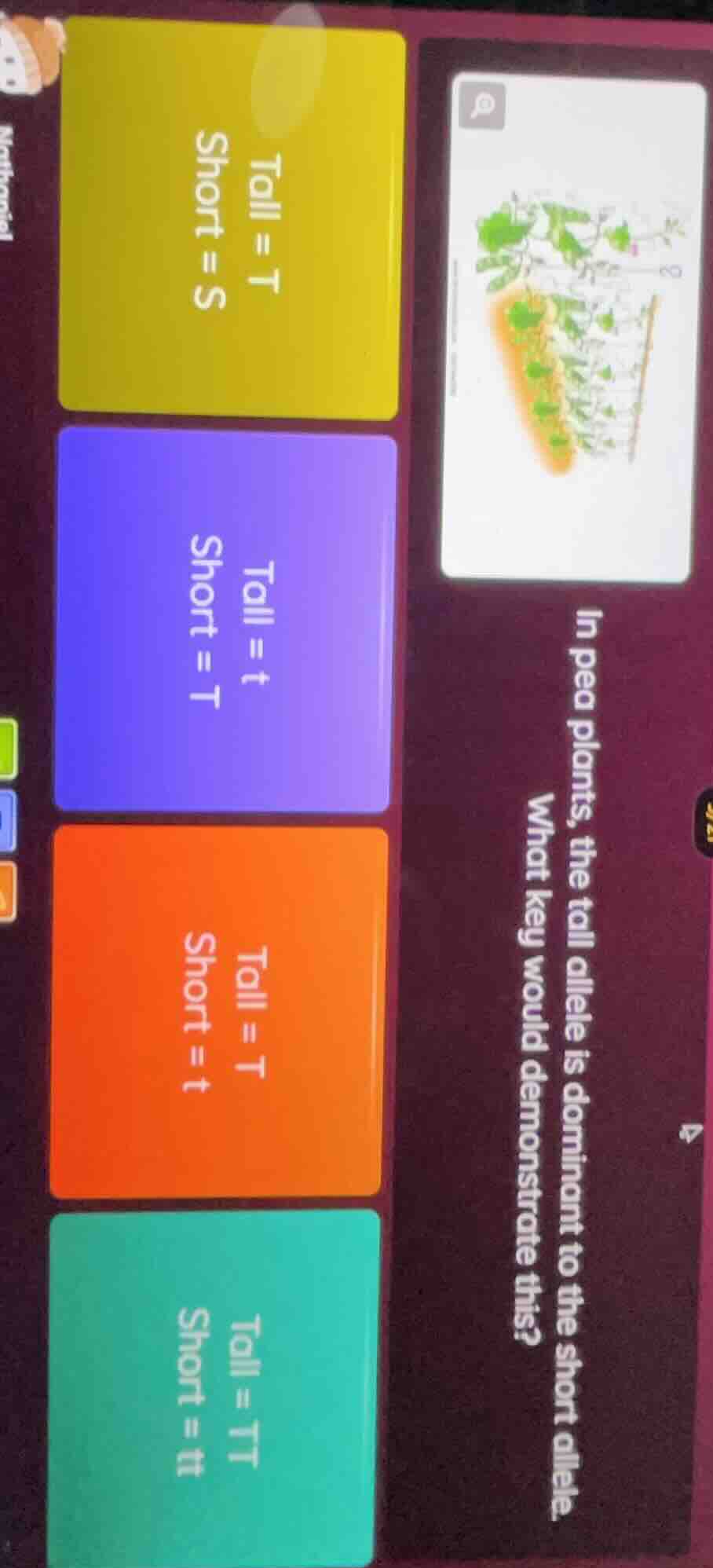 in pea plants, the tall allele is dominant to the short allele. what ke…