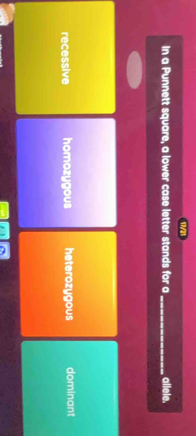 in a punnett square, a lower case letter stands for a --------- allele.…