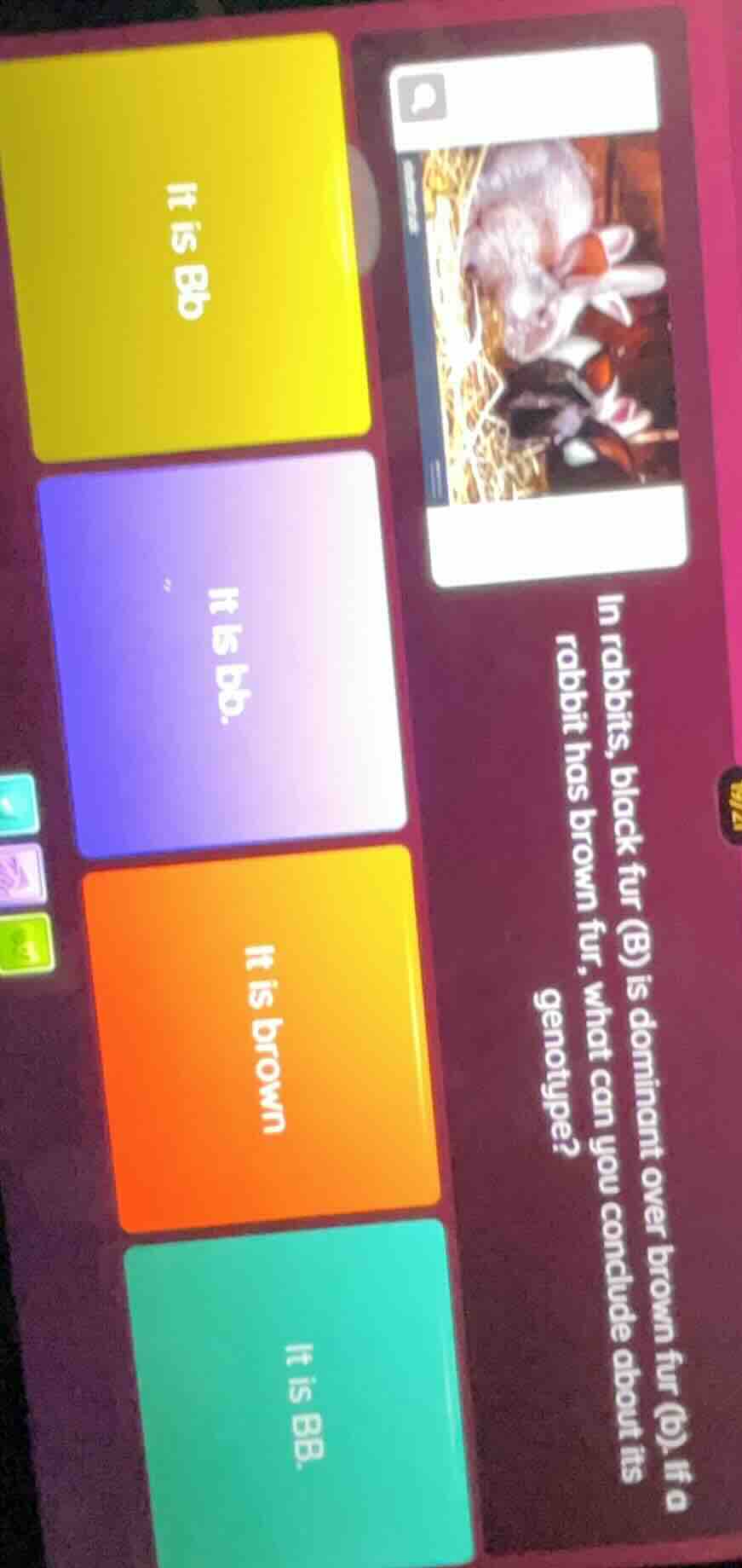 in rabbits, black fur (b) is dominant over brown fur (b). if a rabbit h…