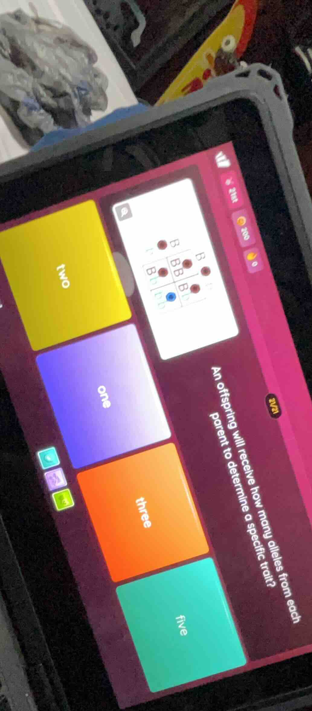 an offspring will receive how many alleles from each parent to determin…