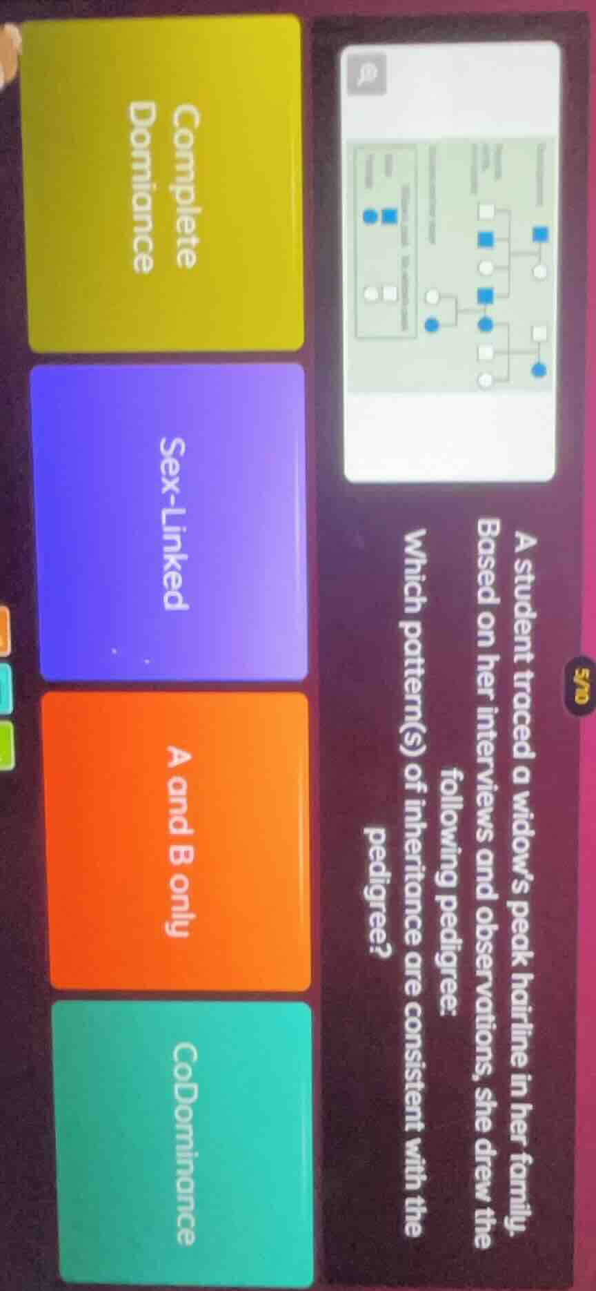 a student traced a widow’s peak hairline in her family. based on her in…