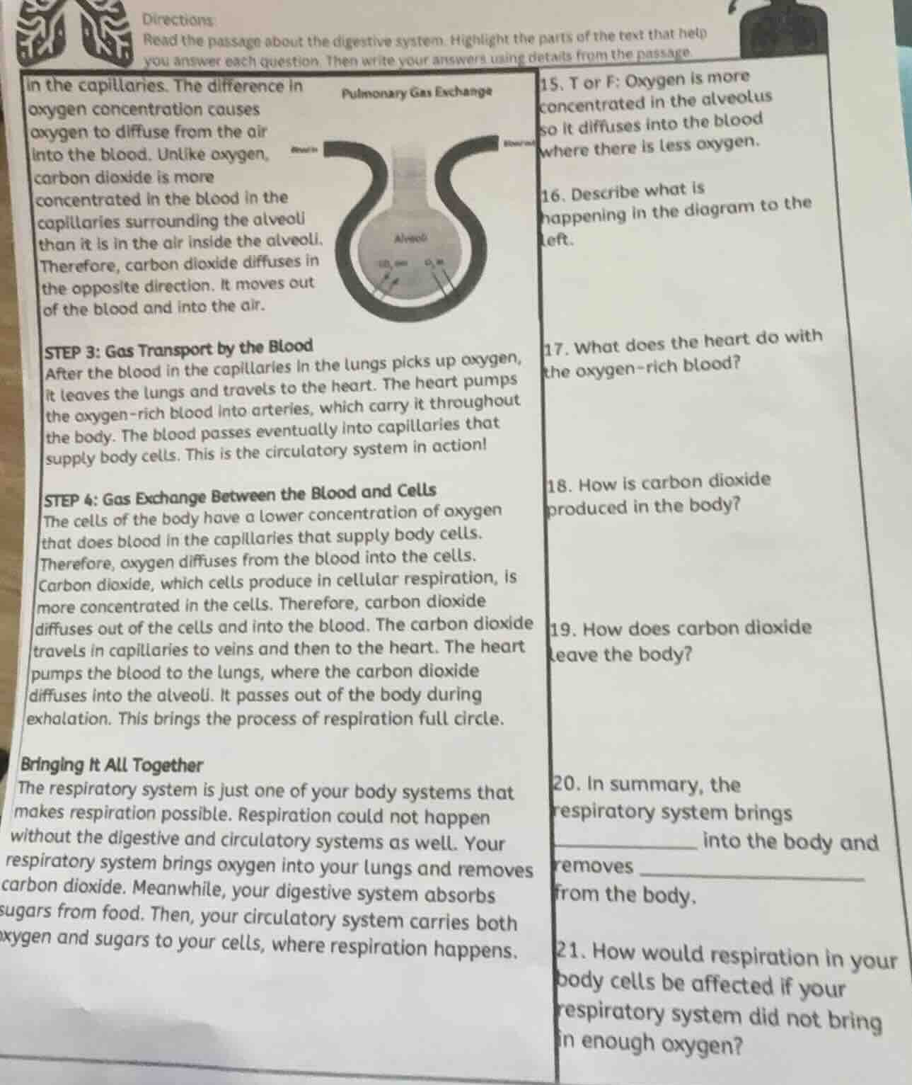 directions: read the passage about the digestive system. highlight the …