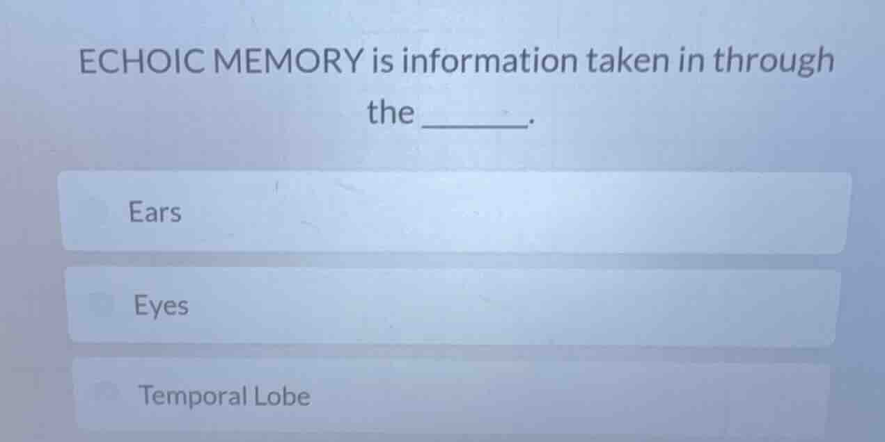 echoic memory is information taken in through the ______. ears eyes tem…
