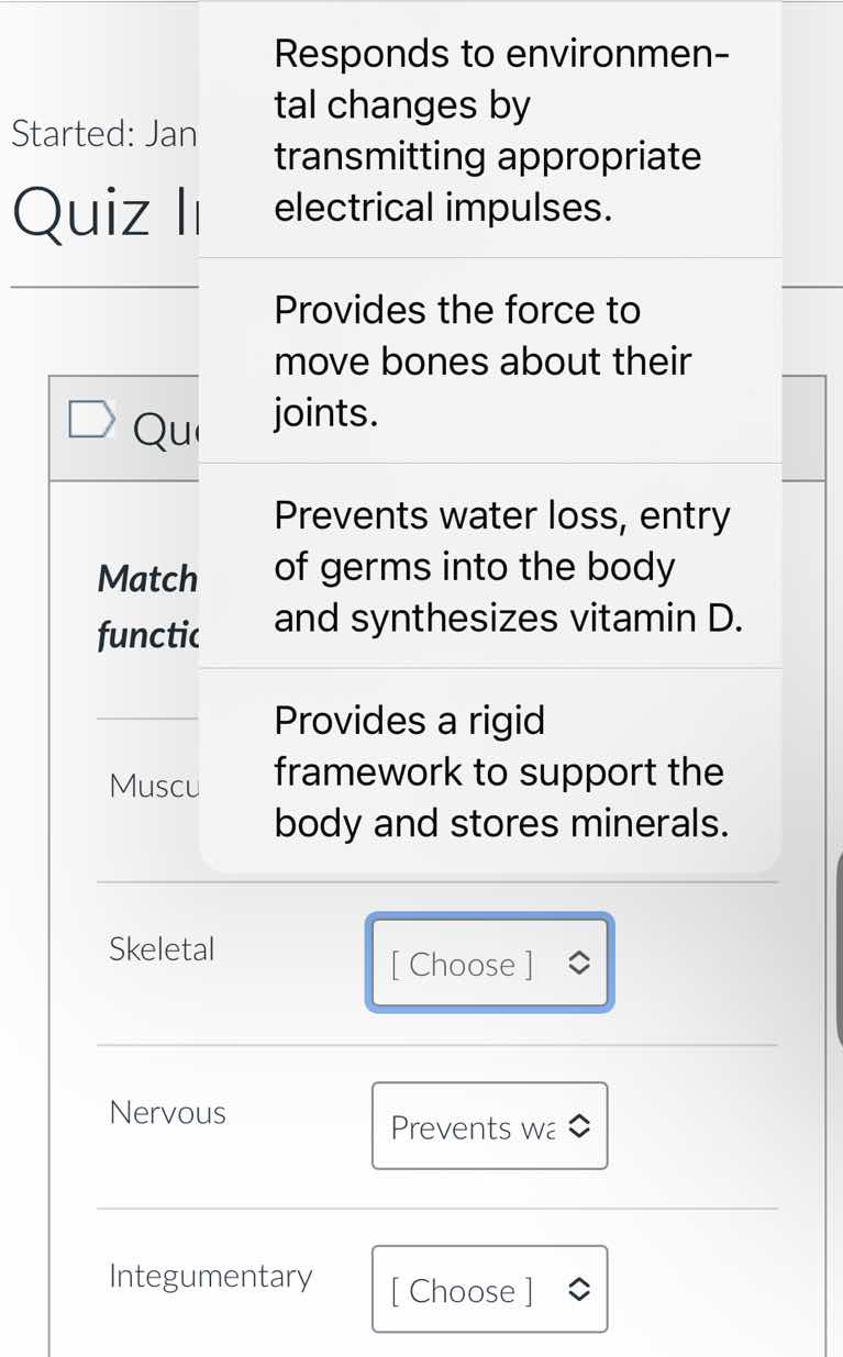 started: jan quiz i qu match functic muscu skeletal choose nervous prev…