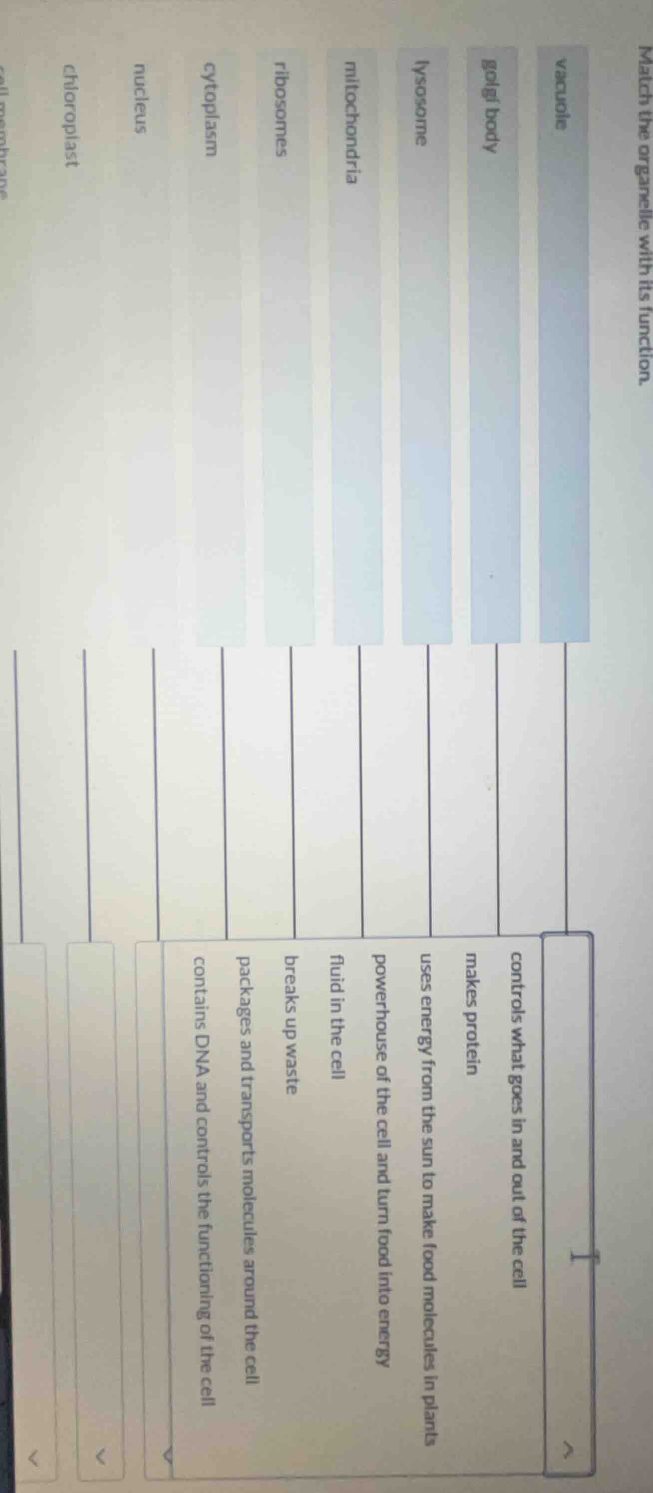 match the organelle with its function. vacuole golgi body lysosome mito…