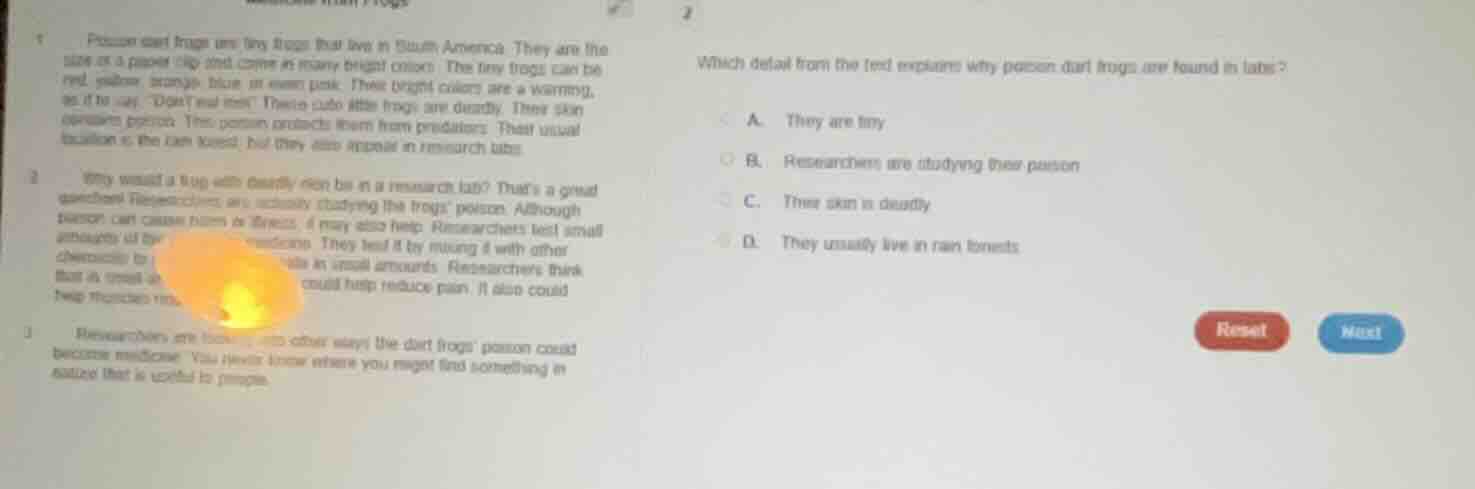 1 poison dart frogs are tiny frogs that live in south america. they are…