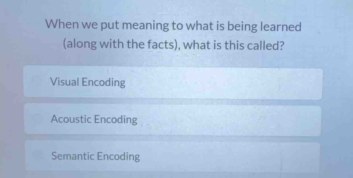 when we put meaning to what is being learned (along with the facts), wh…