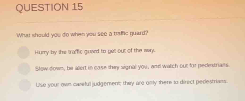 question 15 what should you do when you see a traffic guard? hurry by t…