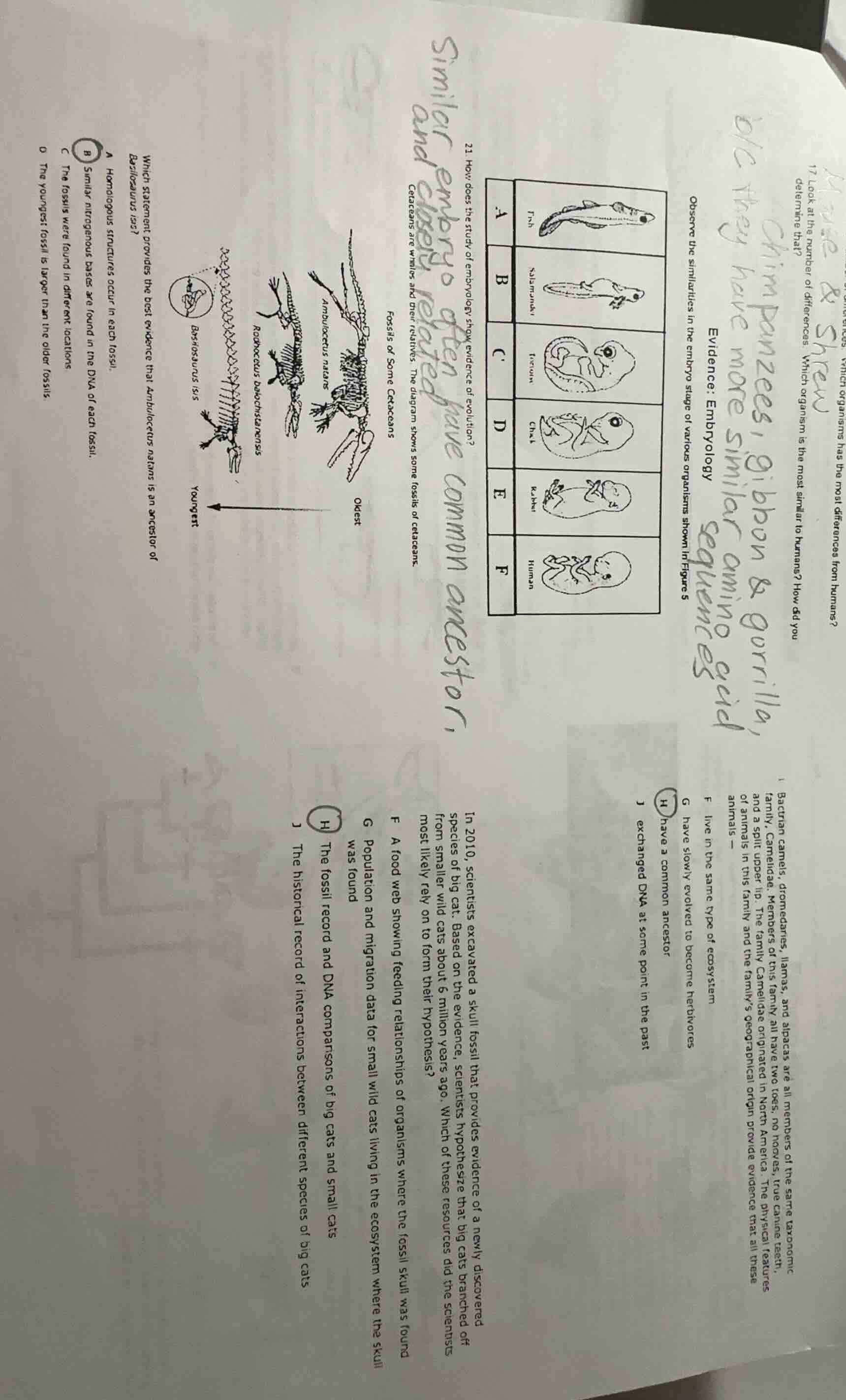 17. look at the number of differences. which organisms has the most dif…