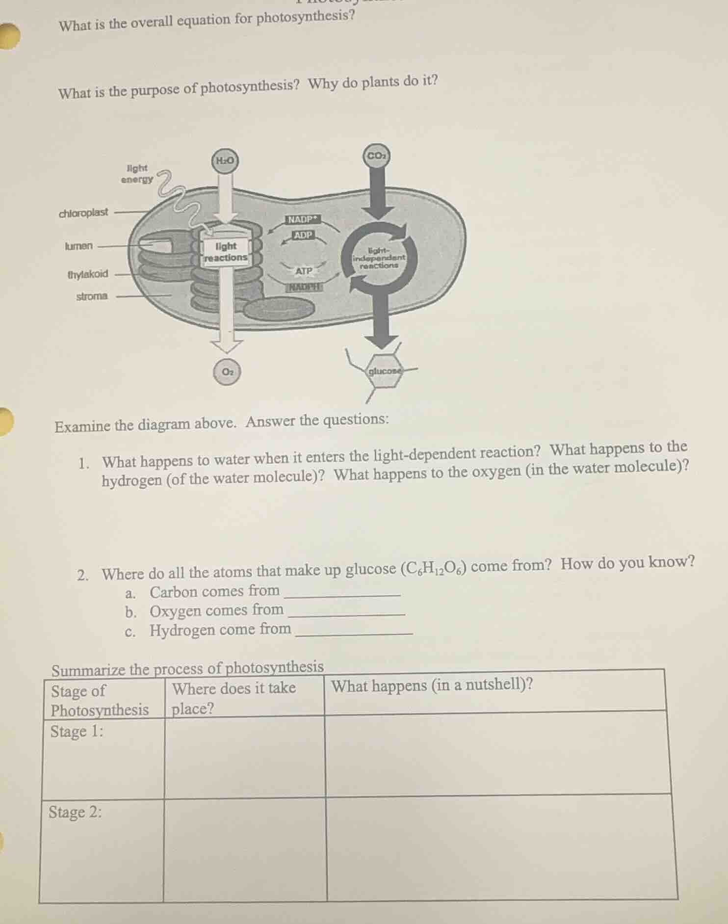 what is the overall equation for photosynthesis? what is the purpose of…