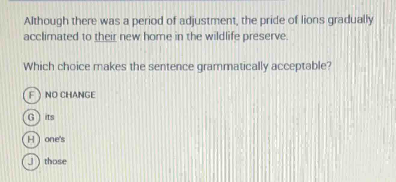 although there was a period of adjustment, the pride of lions gradually…