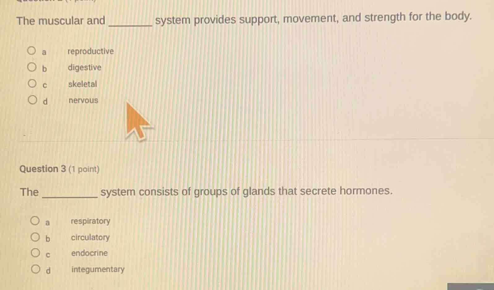 the muscular and ______ system provides support, movement, and strength…