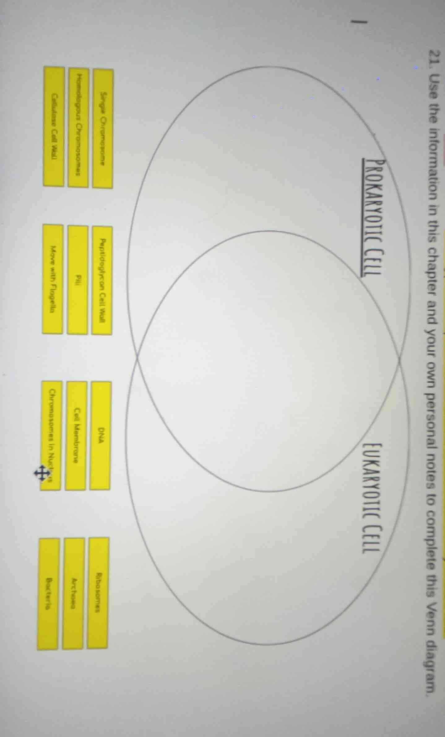 21. use the information in this chapter and your own personal notes to …